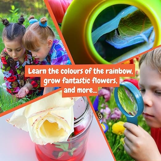 Nature Explorer – Eco Science | Coffret Éducatif Exploration de la Nature