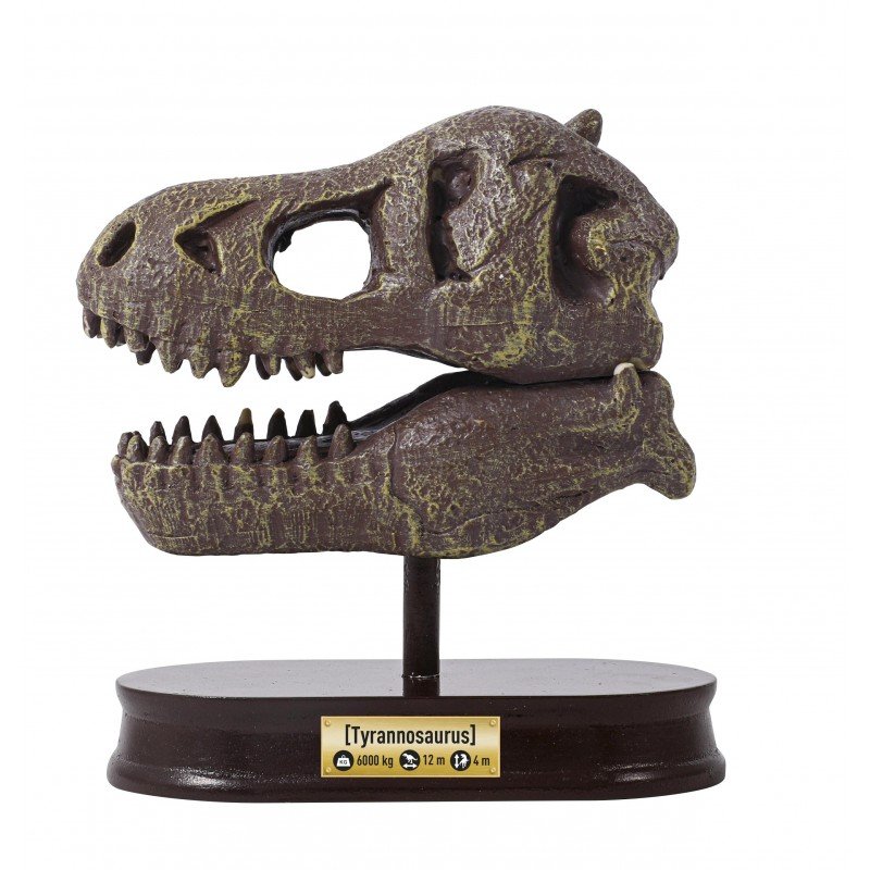 Kit d’Excavation Crâne de Tyrannosaure – Dino Skull Museum