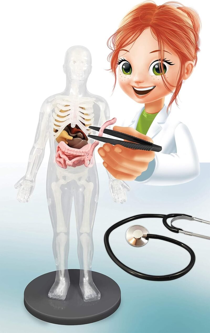 Corps Humain – Kit Scientifique Anatomie pour Enfants